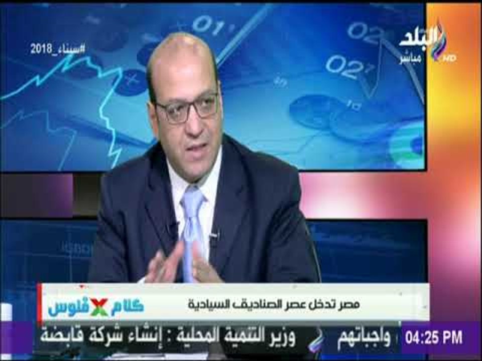 كلام في فلوس - د مصطفى بدرة :  صندوق تحيا مصر غير ممول من الدولة وليس صندوق سيادى