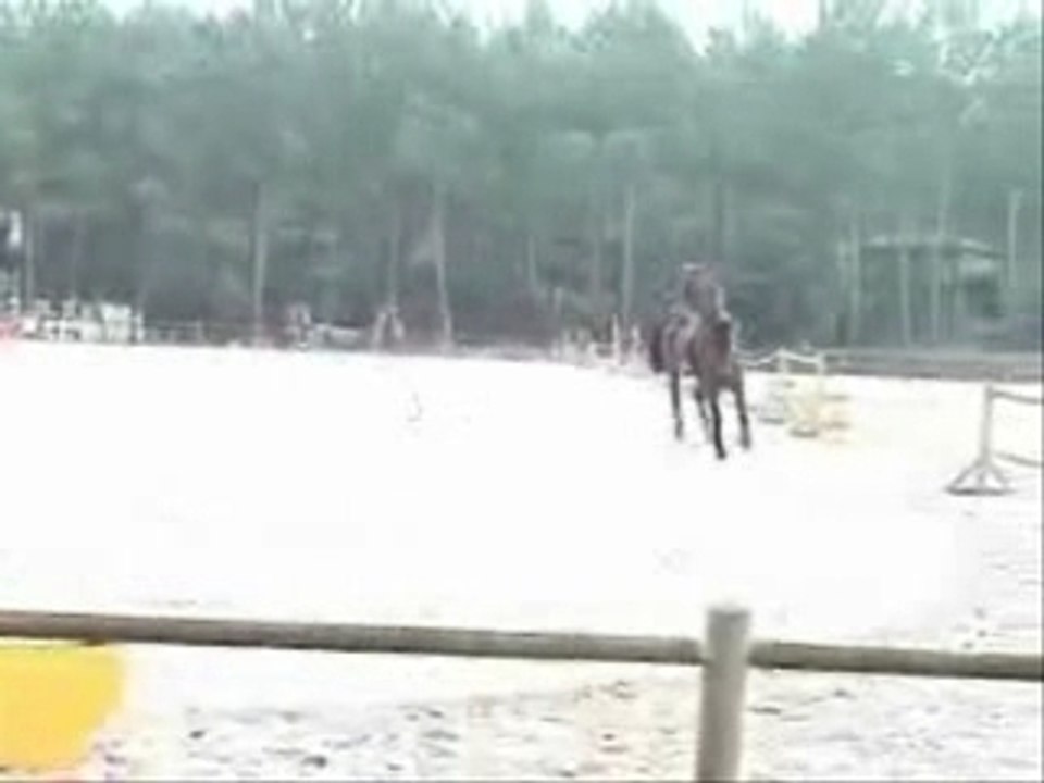 Didme montage 4