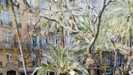 Un autobús imposibilita la circulación por la avenida Reino de Valencia tras averiarse