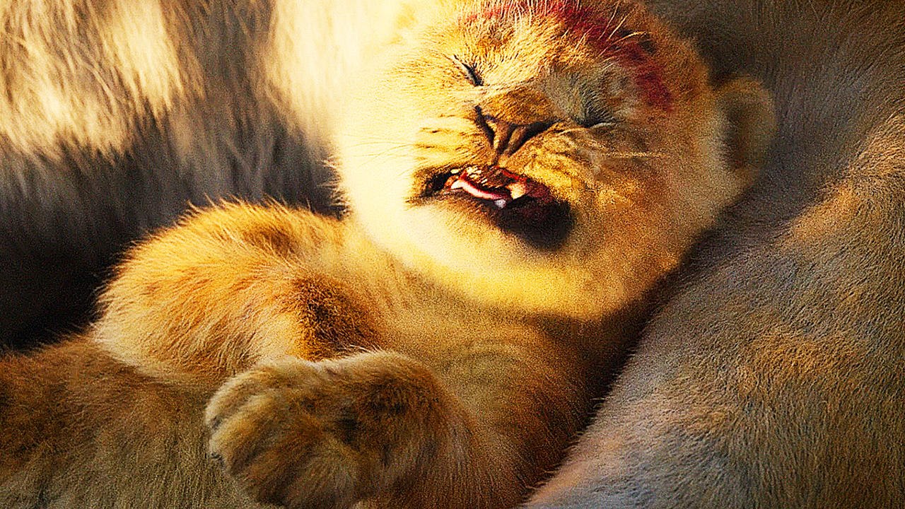 Der König der Löwen - TV-Spot (Deutsch) HD