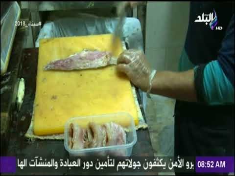 صباح البلد - هند النعسانى في جولة بمحلات الفسيخ والرنجة