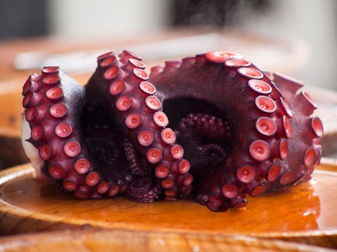 Cómo asustar un pulpo