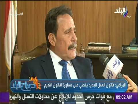 صباح البلد - المراغي: مشروع قانون العمل الجديد يوازن بين صاحب العمل والعامل في القطاع الخاص