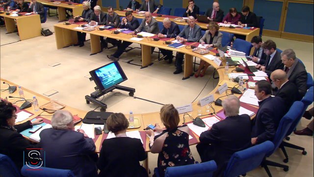 Situation des Chrétiens d'Orient - Audition de M. Jean-Yves Le Drian, ministre de l'Europe et des affaires étrangères