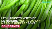 Une plante toxique contamine des haricots verts