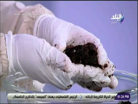 سفرة و طبلية - لو الكيكه باظت منك حوليها لاحلي جاتوه بصوص الشيكولاته مع الشيف هالة