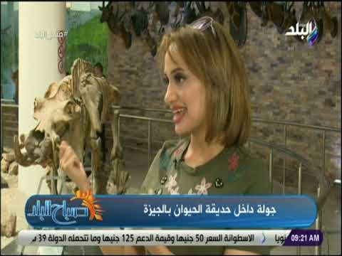 صباح البلد - مديرة المتحف الحيواني بحديقة الحيوان: المتحف الحيوانى أقدم و أكبر المتاحف بالشرق الأوسط