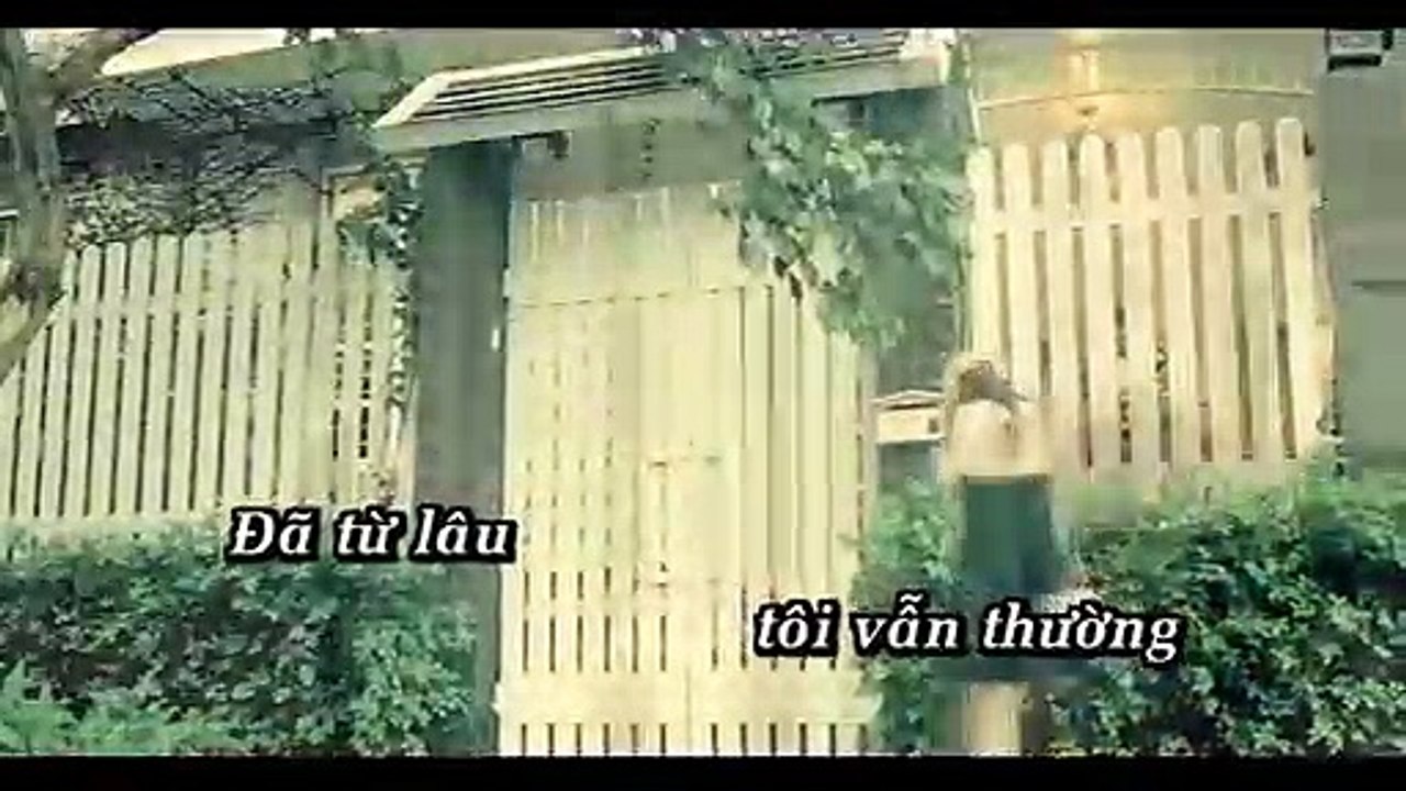 DanBa-HoQuangHieu-kok