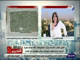 صالة التحرير - د مصطفى وزيري: ما تم اكتشافه في مصر لا يتعدى 40 % من حجم الآثار في باطن الأرض