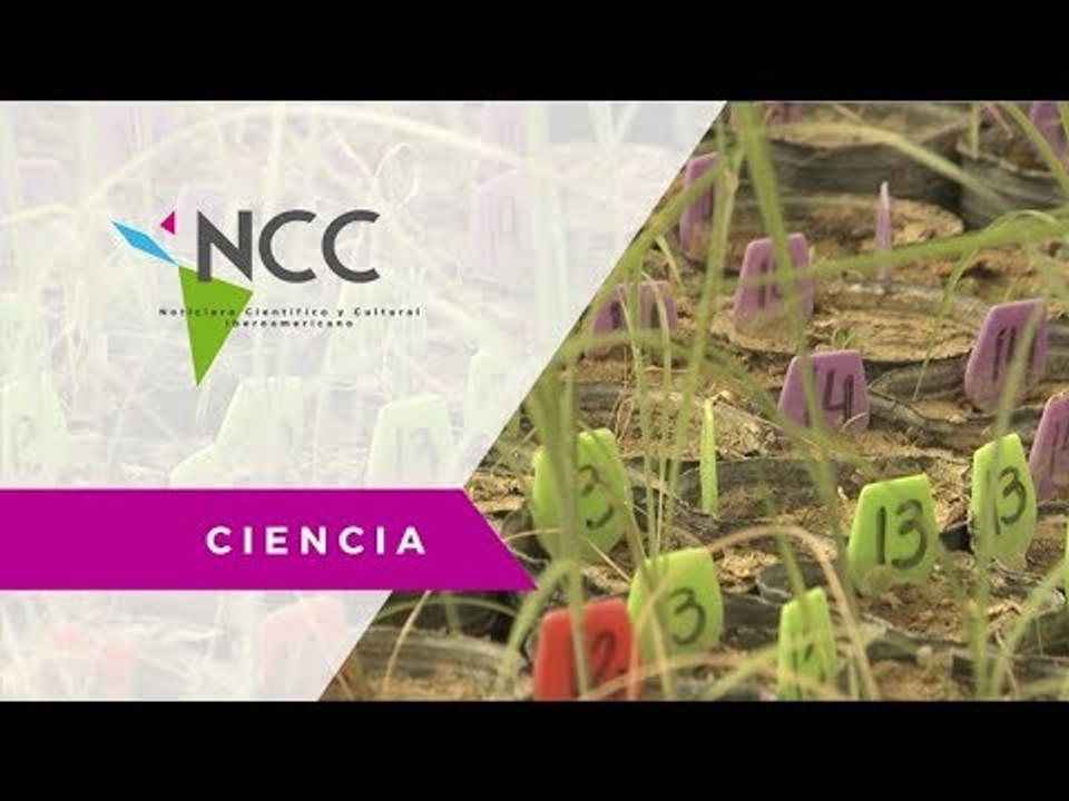 Utilizan biogenética para la conservación vegetal