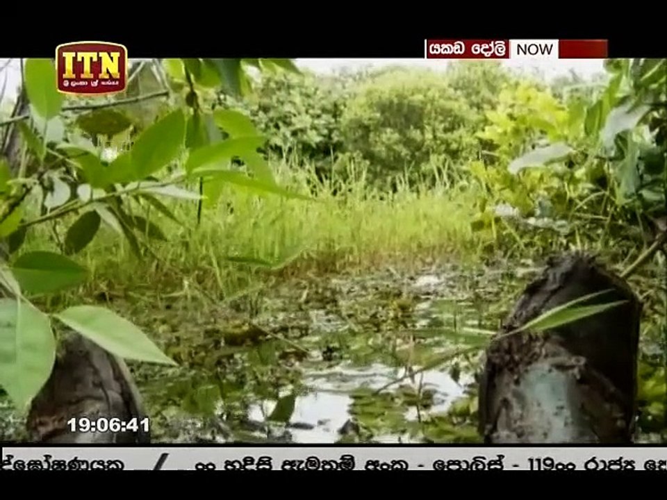 Yakada Doli Teledrama - 31 - 11th March 2019