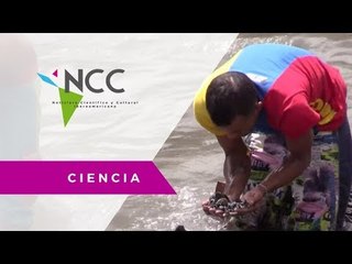 Por crisis trabajan como mineros de aguas negras