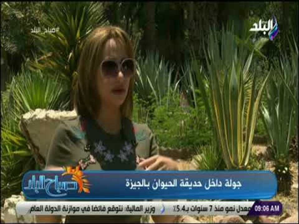 صباح البلد - مدير عام حديقة الحيوان: وسيلة نقل داخل الحديقة لمساعدة الزائرين فى تفقد مساحة الحديقة