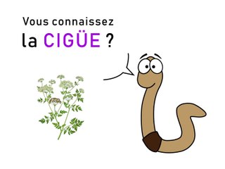 Jardinons au naturel