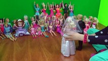 Barbie et Ken Mariage ! Des invités prestigieux! Des Bisous, De La Danse, Gâteau De Mariage, Le Plaisir !