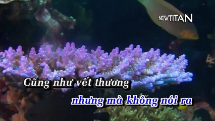 quehuongvetdauvohinh-jimmiinguyen(newtitan)