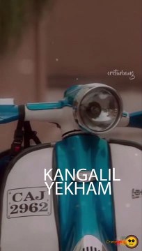 Thalli Pogathey Vertical Whatsapp Status | Thalli Pogathey Lyrical | Sid Sriram Whatsapp Status |