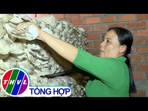 THVL | Nông thôn ngày nay: Mô hình khởi nghiệp