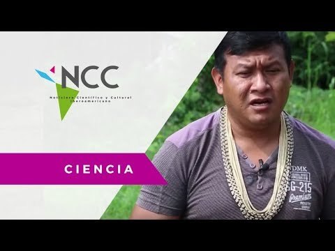 Bonos de carbono amenazados - BRA - EFE / Ciencia / Ciencia / NCC 26 / 12.02.18
