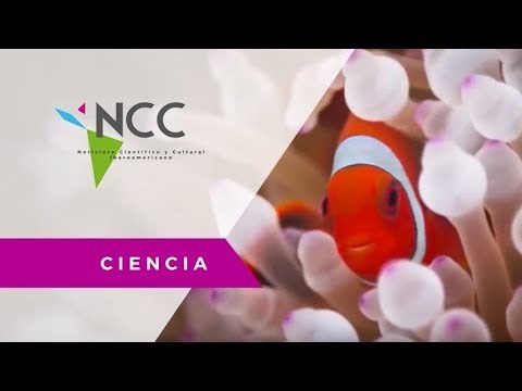 125 expediciones por las profundidades marinas quedan plasmadas en serie Planeta Azul II