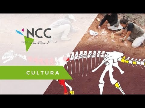 Ingenia prima, los fósiles de dinosaurios gigantes más antiguos