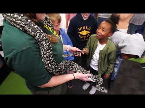 Los especialistas dan consejos para mascotas y vida salvaje en Sidney