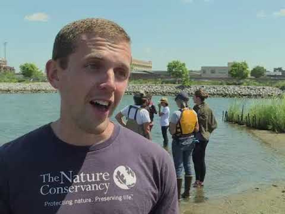 Nueva York Capital mundial de las ostras