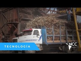 La apuesta por producción Biodiesel a base de caña