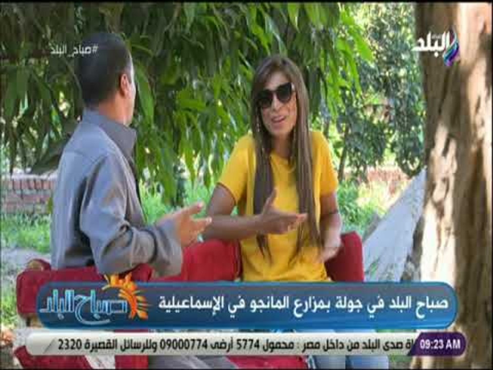 صباح البلد - تعرف علي كيفية اكتشاف امراض ثمار المانجو