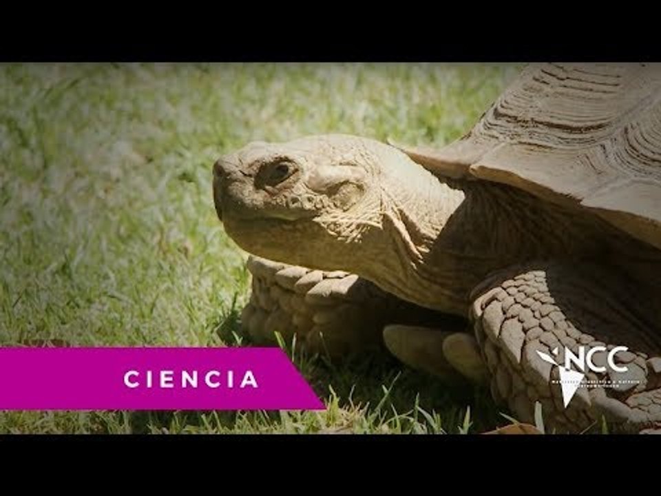 Zoológico de Guadalajara, un edén para especies en extinción