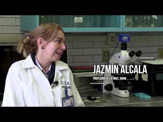 UNAM crea galleta antiparasitaria para ganado