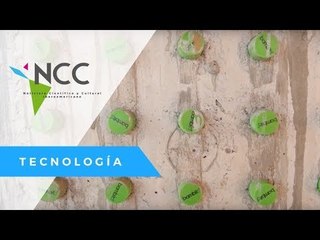 Diez mil botellas de plástico hacen una casa