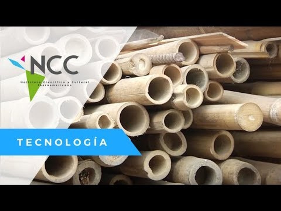 De bambú, bicicletas amables con el medio ambiente