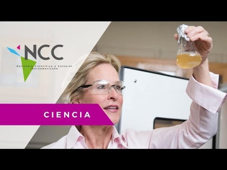 Premio Nobel de Química al estudio de las proteínas