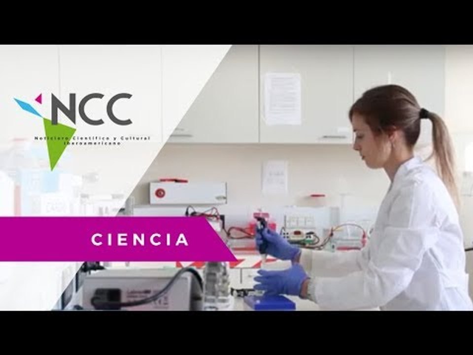 Equinos clonados para mejorar sus musculos