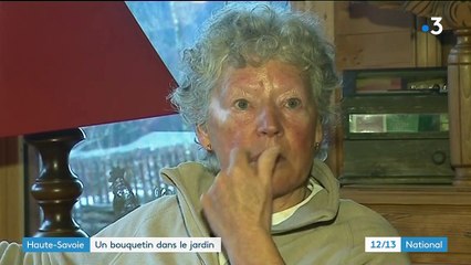 Haute-Savoie : un bouquetin dans le jardin