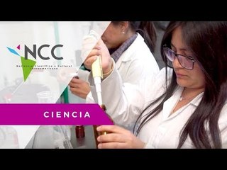 Biopelícula para regenerar la piel