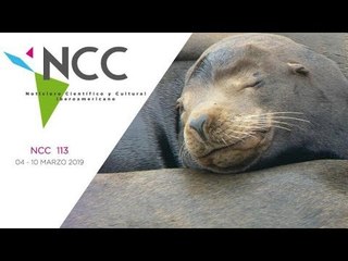 Noticiero Científico y Cultural Iberoamericano, emisión 113. 04 al 10 de marzo 2019.