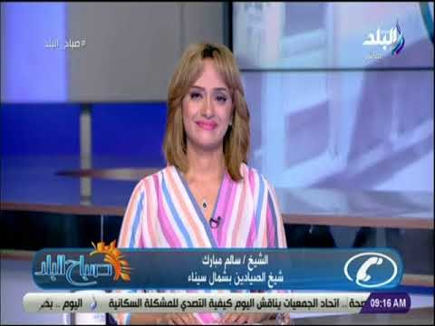 صباح البلد - الشيخ سالم مبارك : فتح بحيرة البردول يخفض اسعار الاسماك بنسبة 50 %