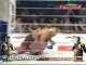 MMA fighters Fedor Emelianenko and Hong Man Choi battle it o