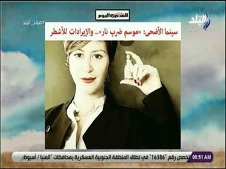 صباح البلد - سينما الأضحى: موسم ضرب نار.. والإيرادات للأشطر