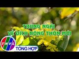 THVL | Nông thôn ngày nay: Trung Ngãi về đích nông thôn mới