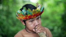 Brésil : les terres indigènes menacées par l'arrivée au pouvoir de Bolsonaro