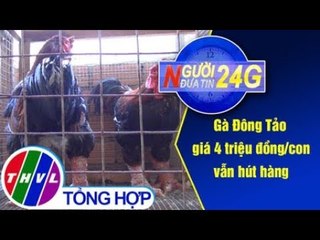 THVL | Người đưa tin 24G (18g30 ngày 24/01/2019)