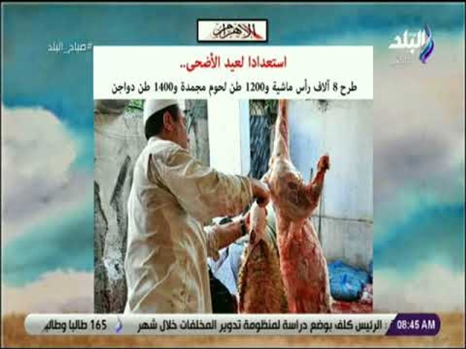 صباح البلد - استعدادا لعيد الأضحى.. طرح 8 آلاف رأس ماشية و1200 طن لحوم مجمدة و1400 طن دواجن