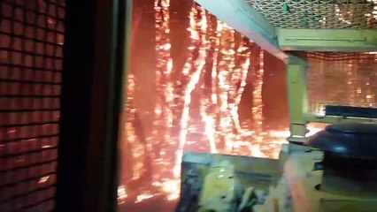 On the Front Lines of a Forest Fire