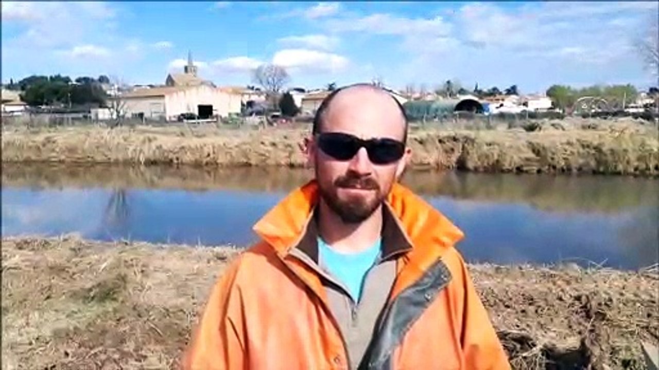 Portiragnes : aux petits soins pour le canal