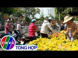 THVL | Chợ hoa Tết  thành phố Vĩnh Long những ngày cuối năm