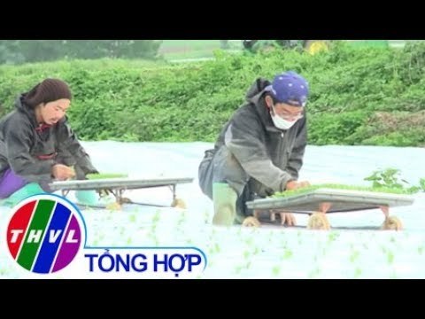 THVL | Xuất khẩu lao động mang về hơn 3 tỷ USD năm 2018