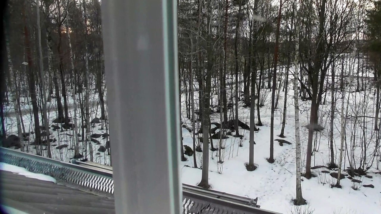 Feb 24 2019 DL3